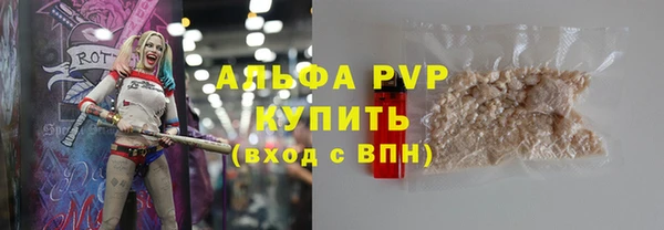 стаф Богородск