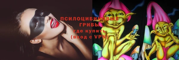 стаф Богородск