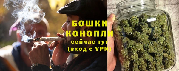 стаф Богородск